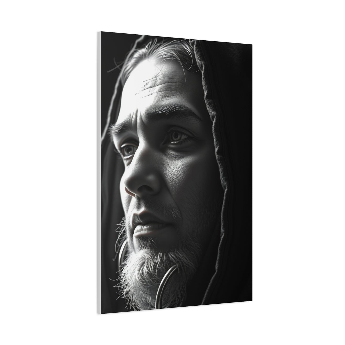 Exquisite Shade Canvas Wall Art & Canvas Print