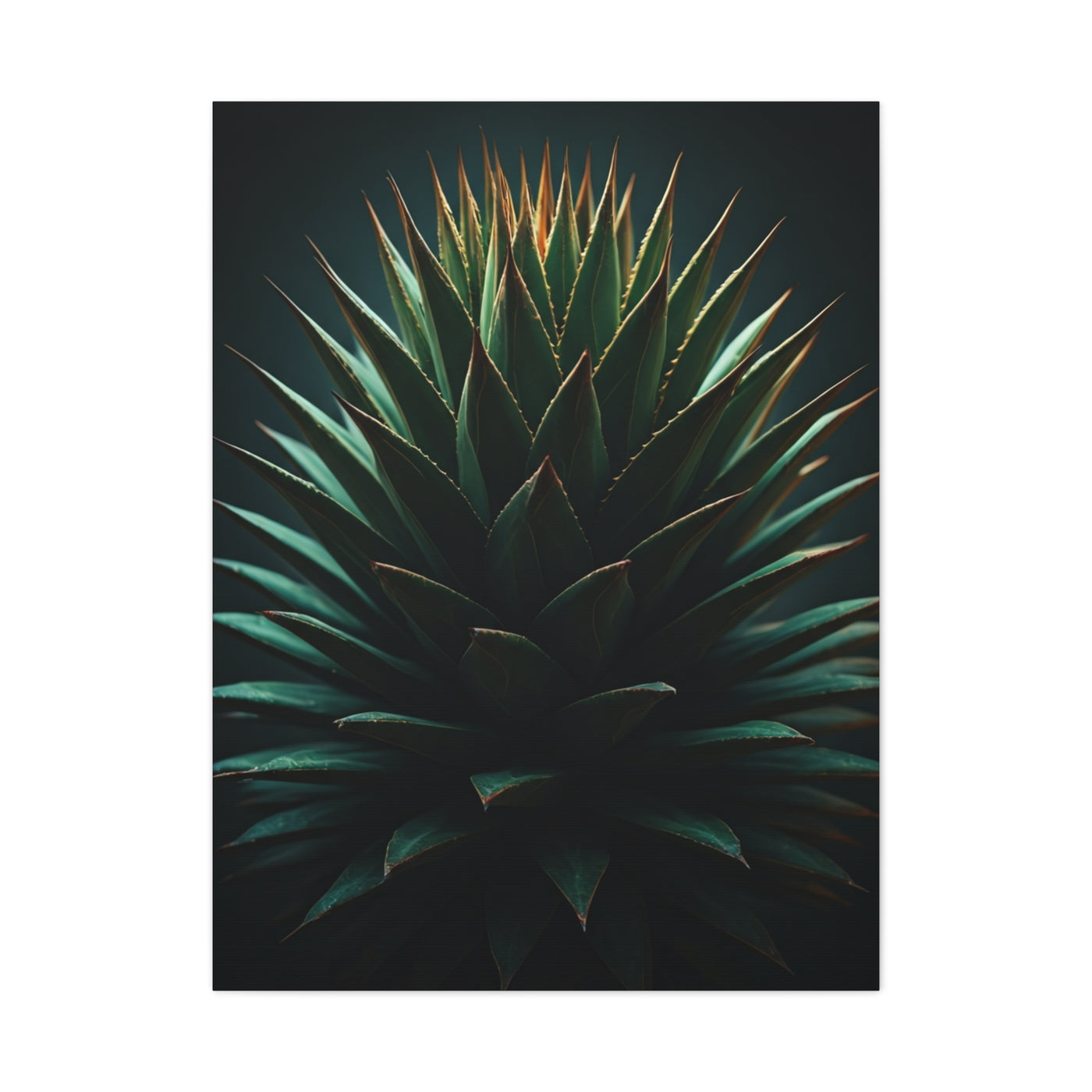 Desert Radiance Agave Sculpture Wall Art & Canvas Prints