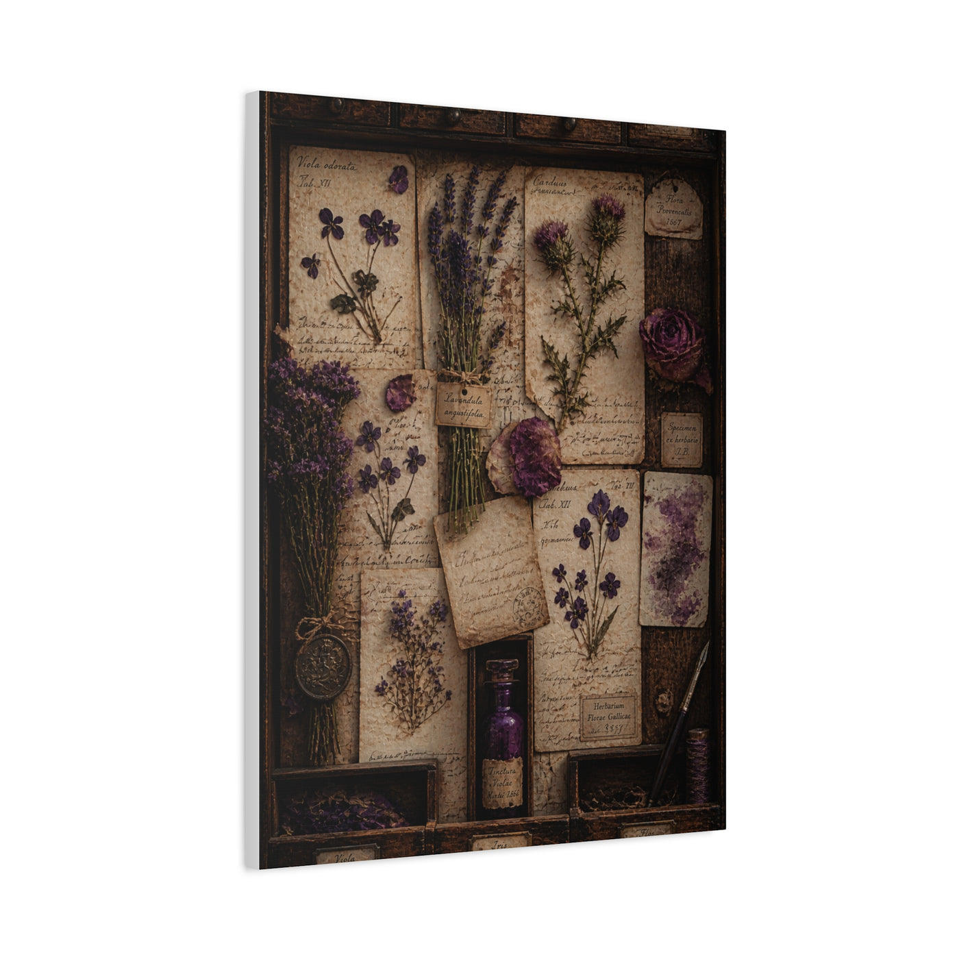 Antique Botanical Herbarium Study Wall Art & Canvas Print
