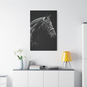 Elegant Black Stallion Profile Wall Art & Canvas Prints