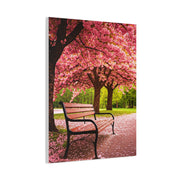 Cherry Blossom Park Bench Serenity Wall Art & Canvas Prints