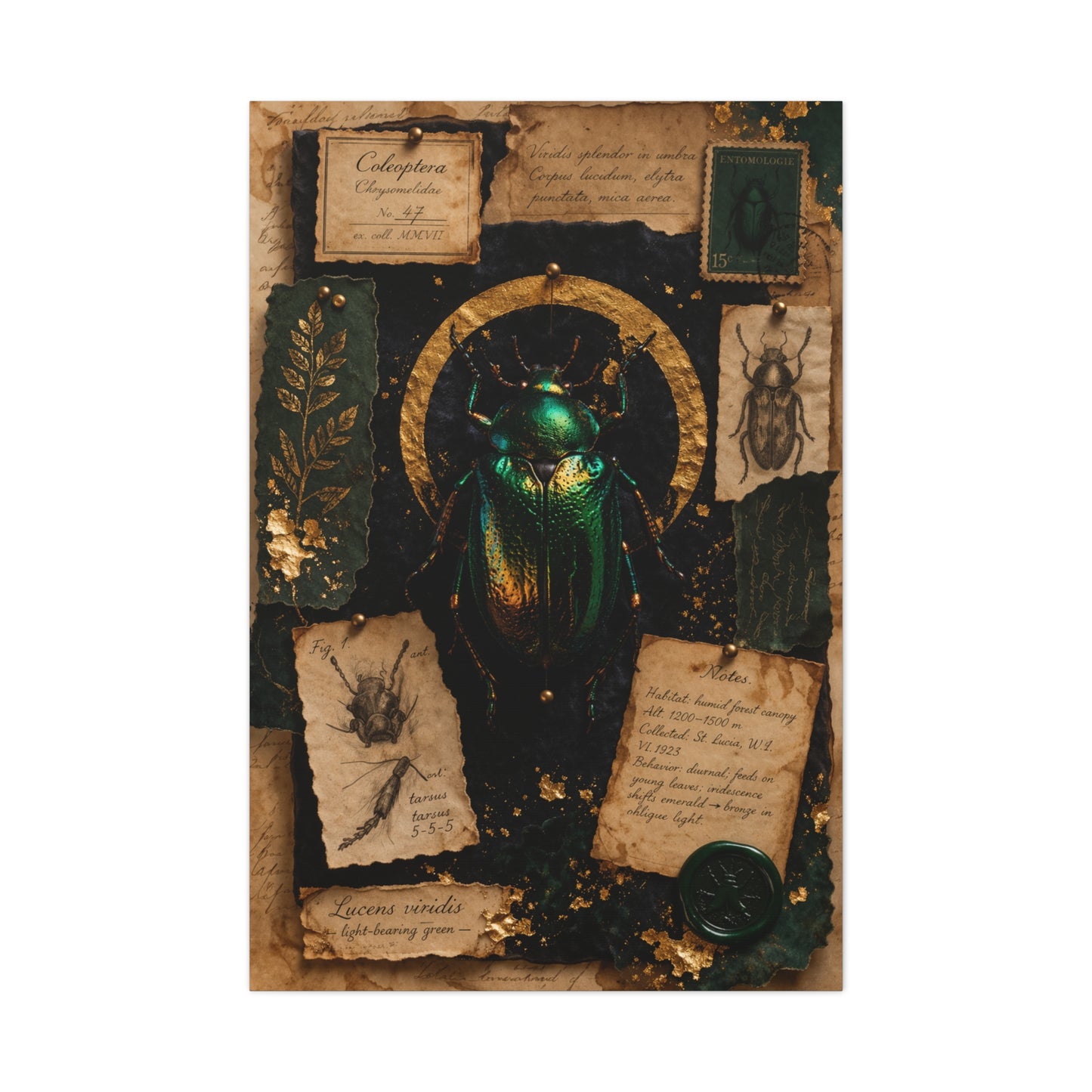 Cabinet of Curiosities Insect Study Wall Art & Canvas Print