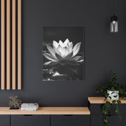 Serene Lotus Reflection Wall Art & Canvas Prints