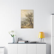 Mediterranean Olive Grove Light Trees Wall Art & Canvas Print