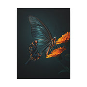Dark Swallowtail Butterfly on Orange Blossoms Wall Art & Canvas Prints