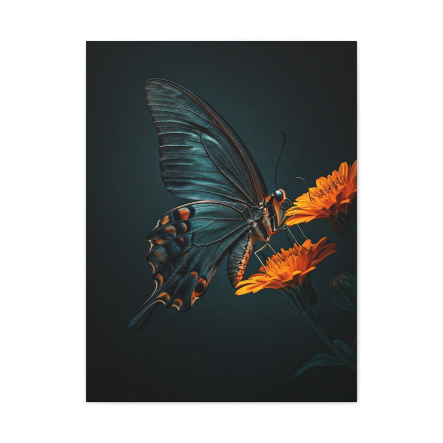 Dark Swallowtail Butterfly on Orange Blossoms Wall Art & Canvas Prints