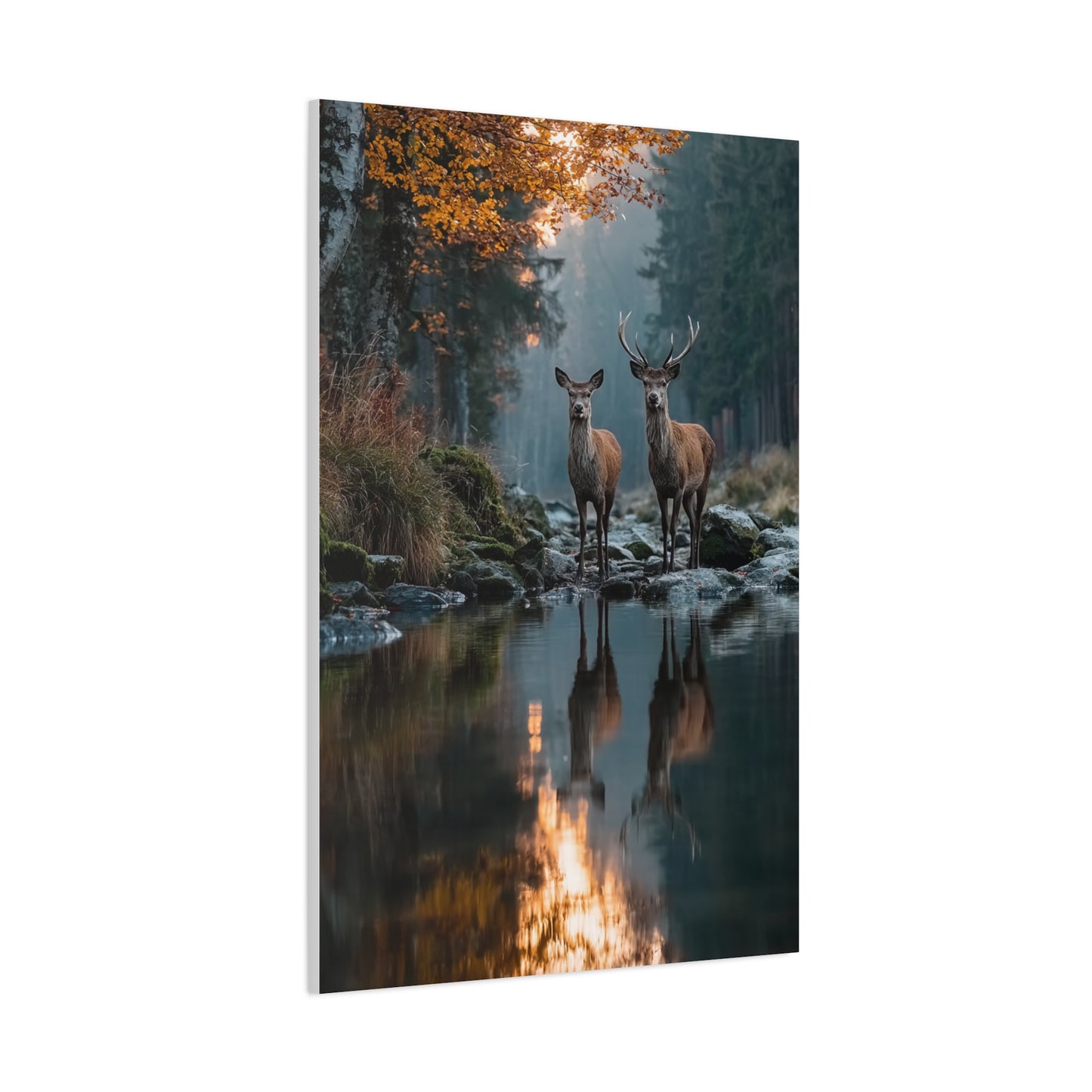 Autumn Forest Deer Reflection Wall Art & Canvas Print