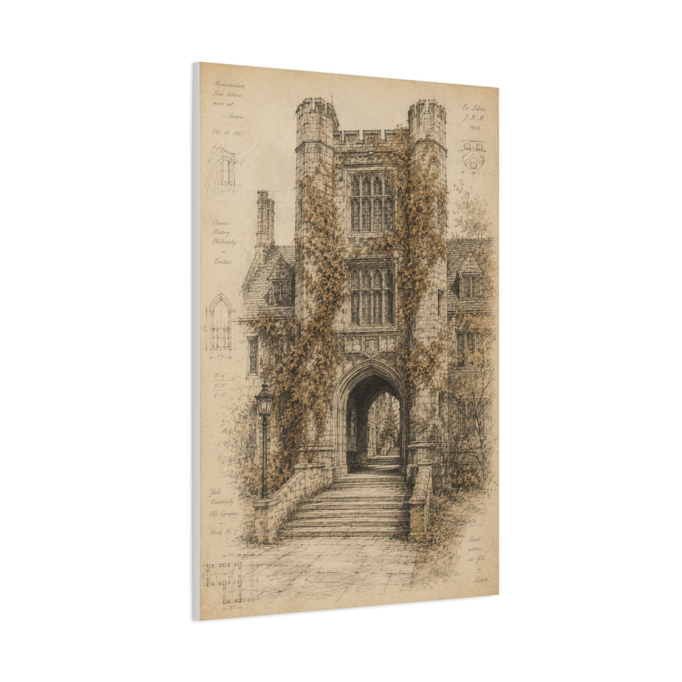 Ivy-Covered Gothic Arch Architectural Study Wall Art & Canvas Print