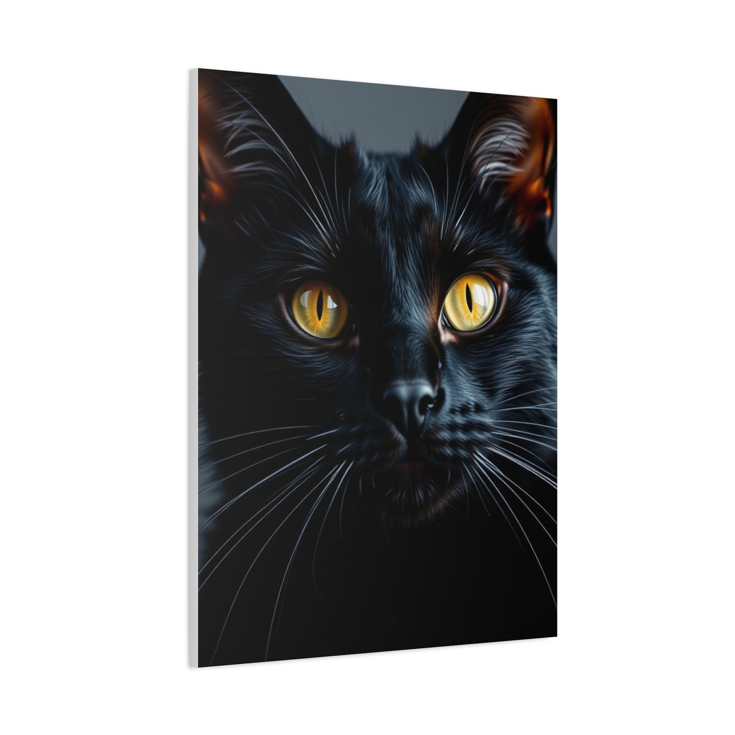 Supreme Black Cat Art Beautiful Collection Wall Art & Canvas Print