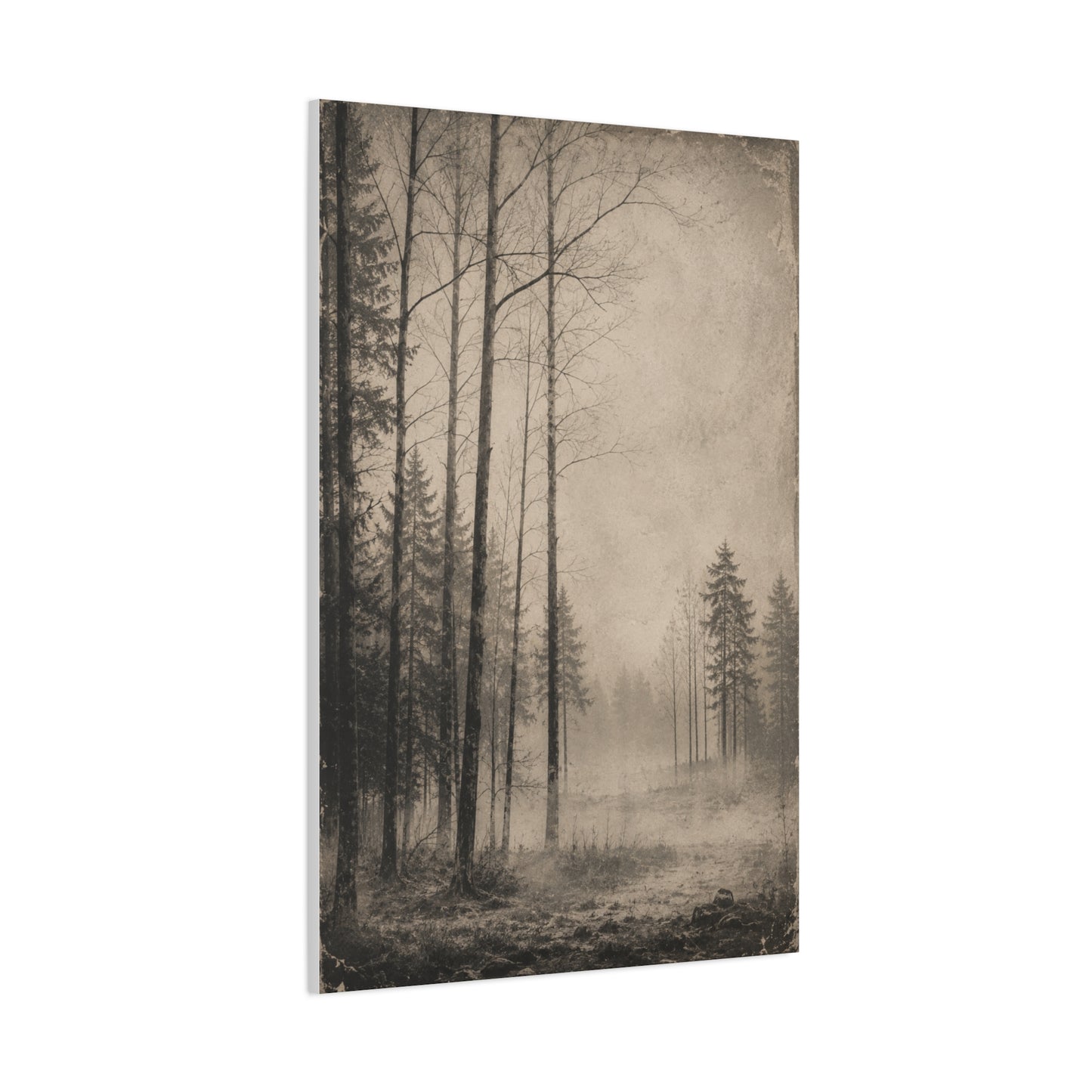Vintage Fog Forest Monochrome Trees Wall Art & Canvas Print