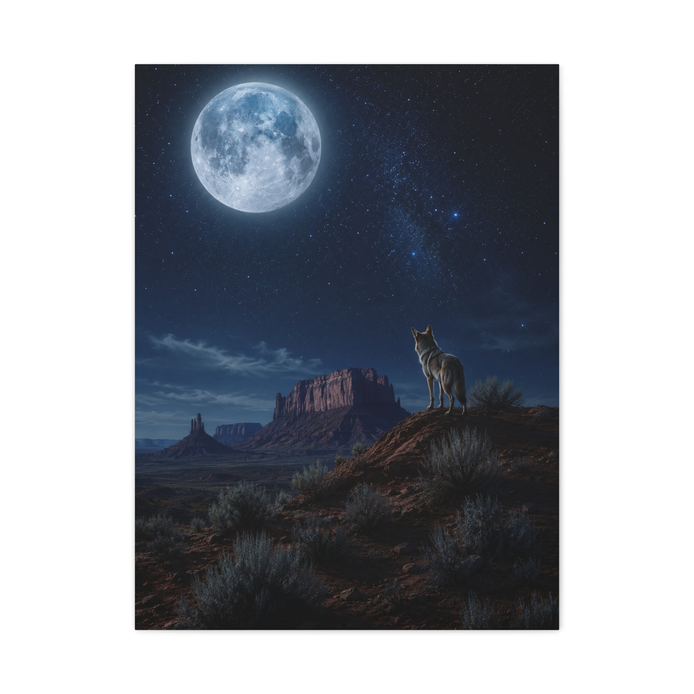 Moonlit Coyote Desert Wall Art & Canvas Print