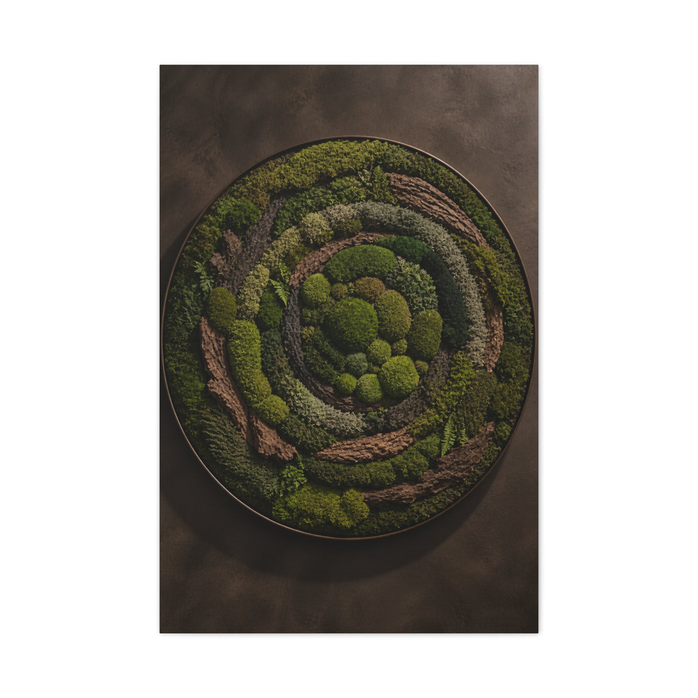 Circular Preserved Moss Relief Wall Art & Canvas Print
