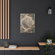 Coastal Shell Relief Composition Wall Art & Canvas Print