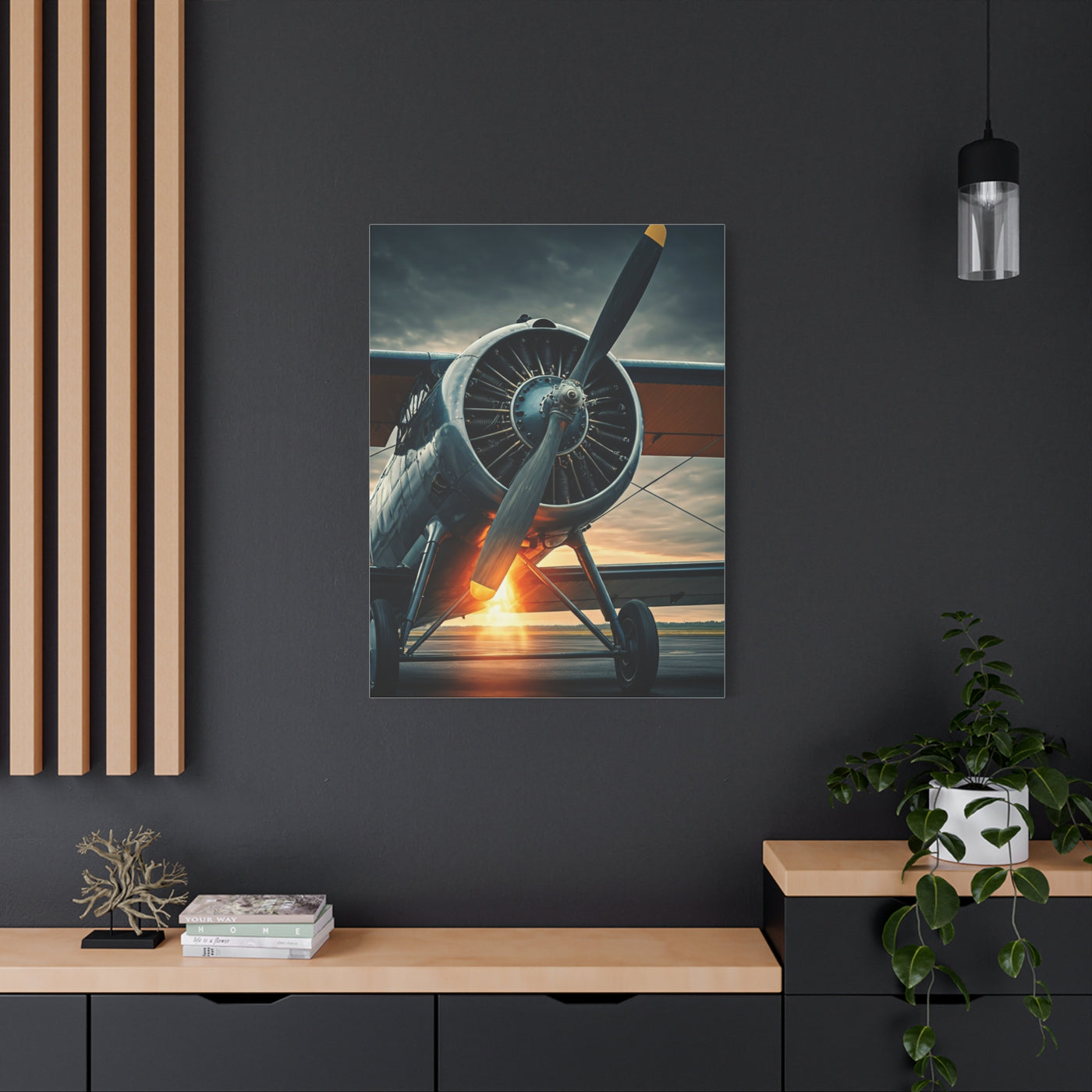 Vintage Prop Engine Close-Up Wall Art & Canvas Prints
