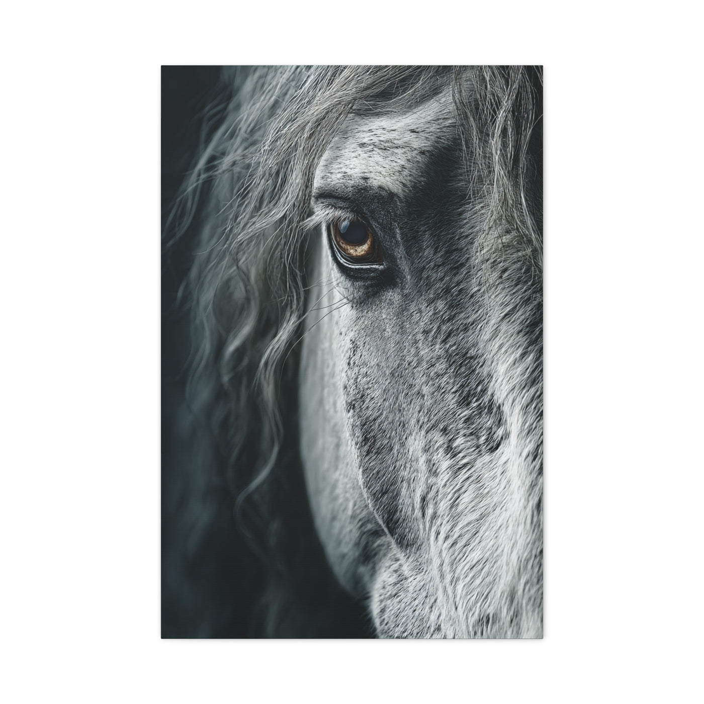 Horse Eye Intimate Monochrome Wall Art & Canvas Print