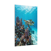 Tropical Ocean Turtle Reef Escape Tropical Wall Art & Canvas Print