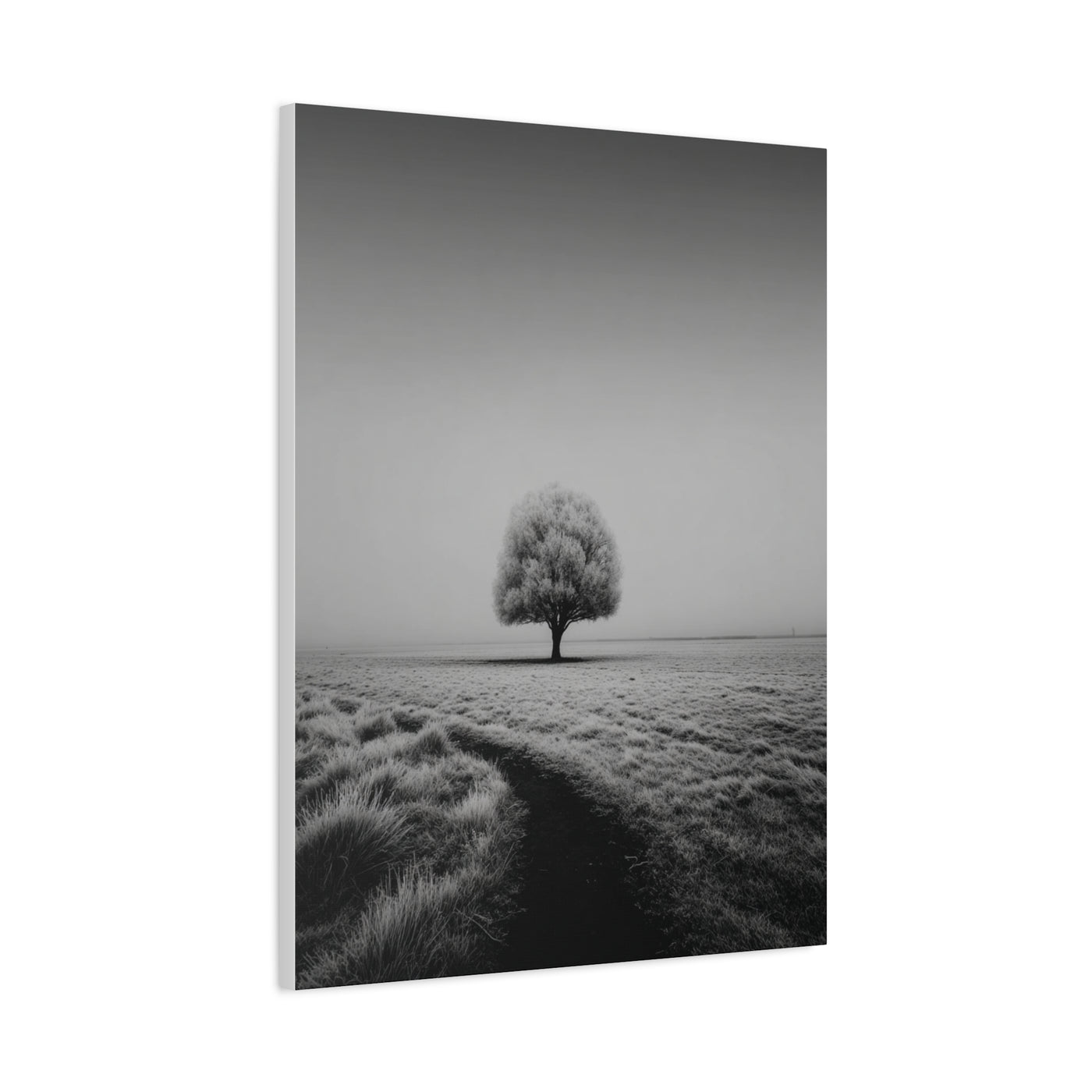 Lone Tree Winter Field Wall Art & Canvas Print