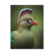 Emerald Crested Turaco Portrait Wall Art & Canvas Prints