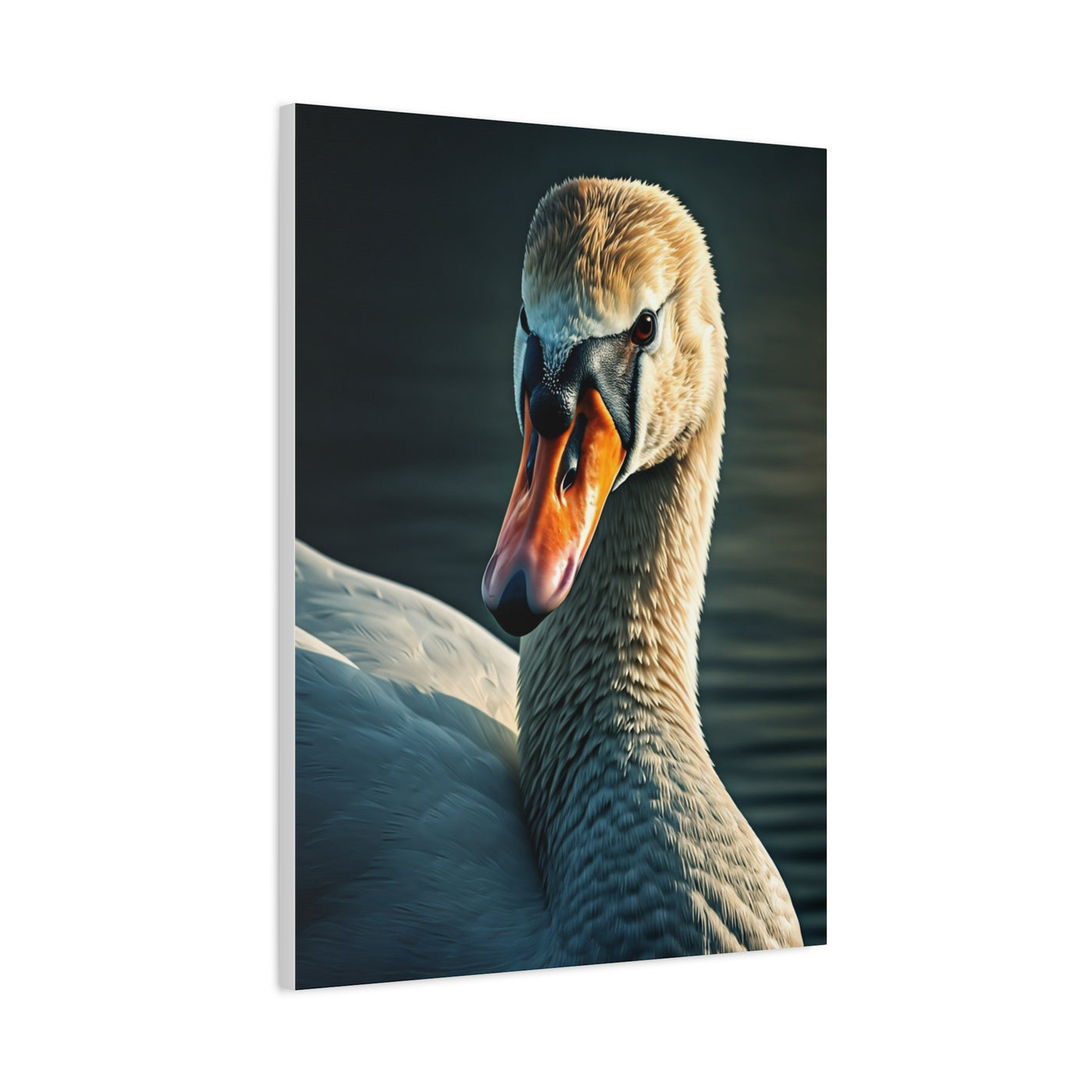 Serene Swan Reflection Wall Art & Canvas Prints
