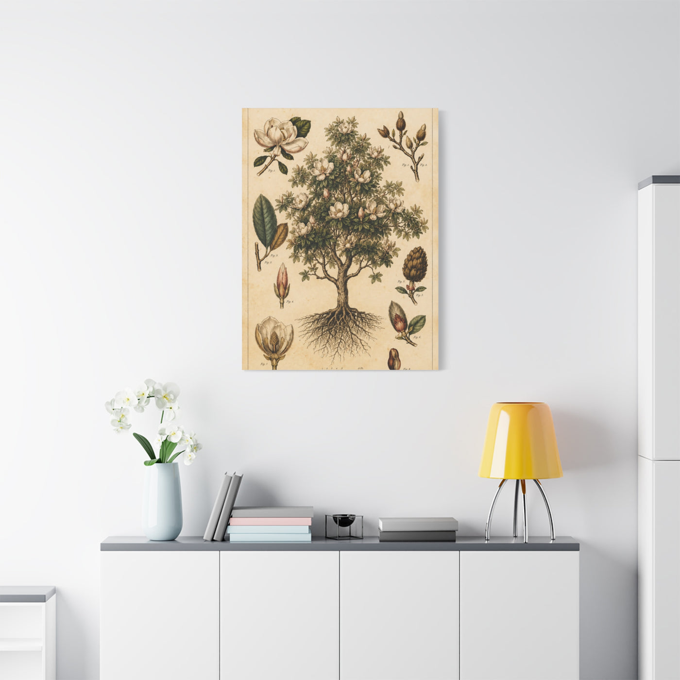 Vintage Magnolia Botanical Study Trees Wall Art & Canvas Print