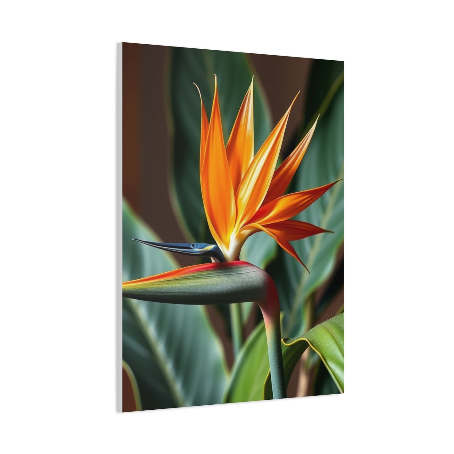 Elite Bird of Paradise Plant Art Vision Wall Art & Canvas Print