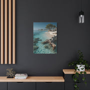 Tropical Driftwood Cove Wall Art & Canvas Print