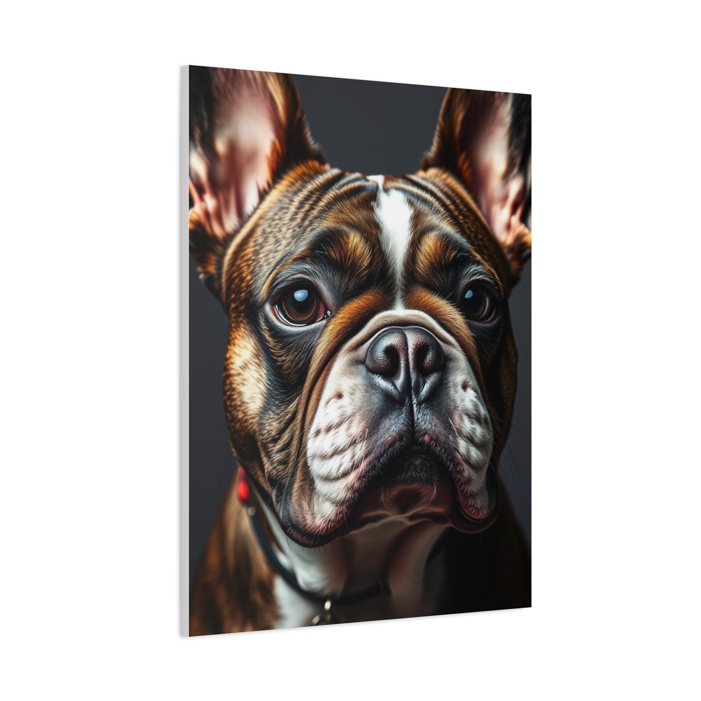 Supreme French Bulldog Art Beautiful Collection Wall Art & Canvas Print