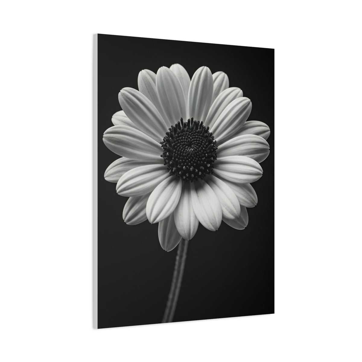 Bold Daisy Contrast Portrait Wall Art & Canvas Prints