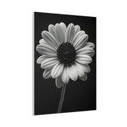 Bold Daisy Contrast Portrait Wall Art & Canvas Prints