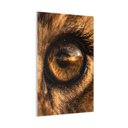 Lion Eye Reflection Macro Wall Art & Canvas Print