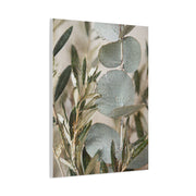 Botanical Eucalyptus Close-Up Wall Art & Canvas Print