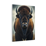 Symmetrical American Bison Portrait with Dramatic Overcast Lighting Wall Art & Canvas Print