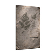 Antique Fern Herbarium Archive Wall Art & Canvas Print