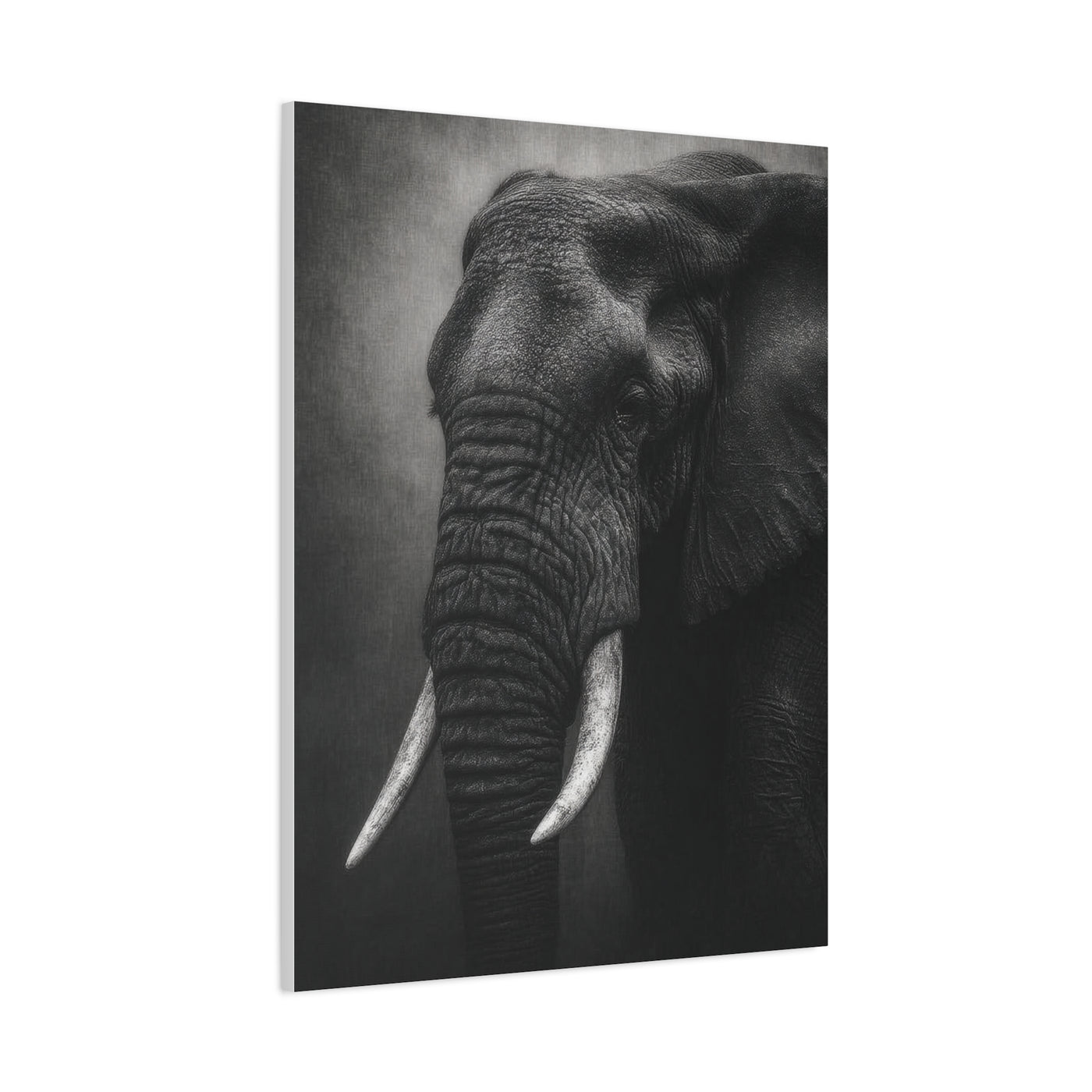 Monochrome Elephant Fine Art Portrait Wall Art & Canvas Print