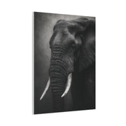 Monochrome Elephant Fine Art Portrait Wall Art & Canvas Print