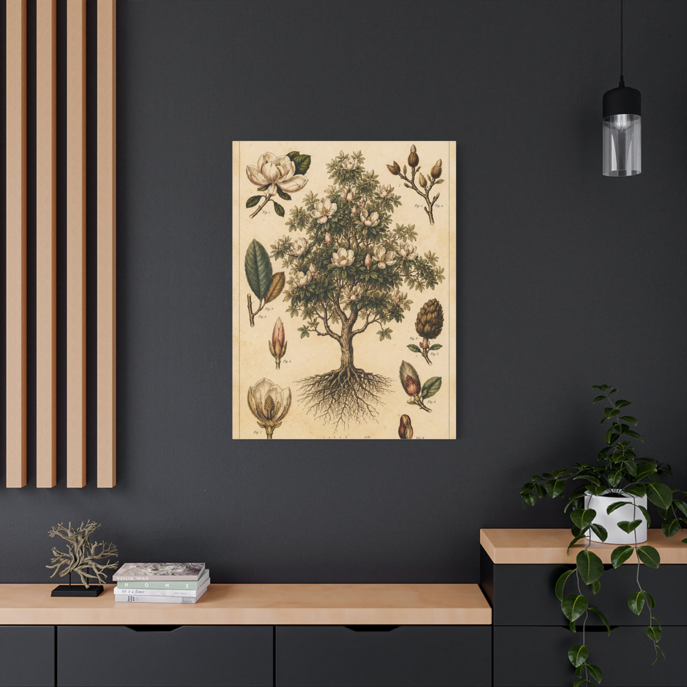 Vintage Magnolia Botanical Study Trees Wall Art & Canvas Print