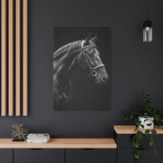 Elegant Black Stallion Profile Wall Art & Canvas Prints
