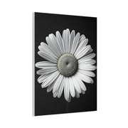 White Daisy Bloom Portrait Wall Art & Canvas Prints