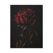 Dark Crimson Rose Still Life Wall Art & Canvas Print