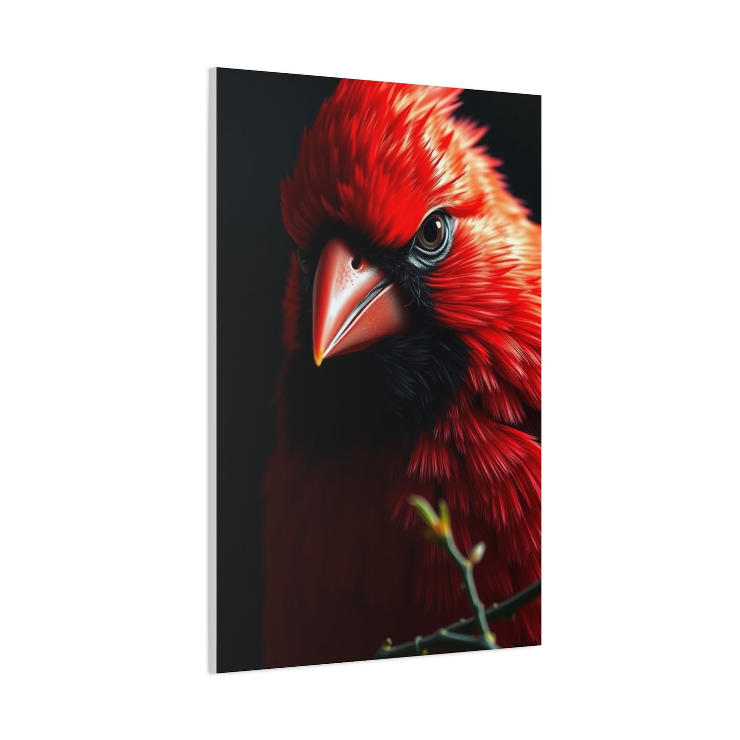 Elite Cardinal Art Vision Wall Art & Canvas Print