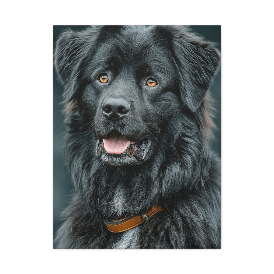 Noble Newfoundland Portrait Wall Art & Canvas Print