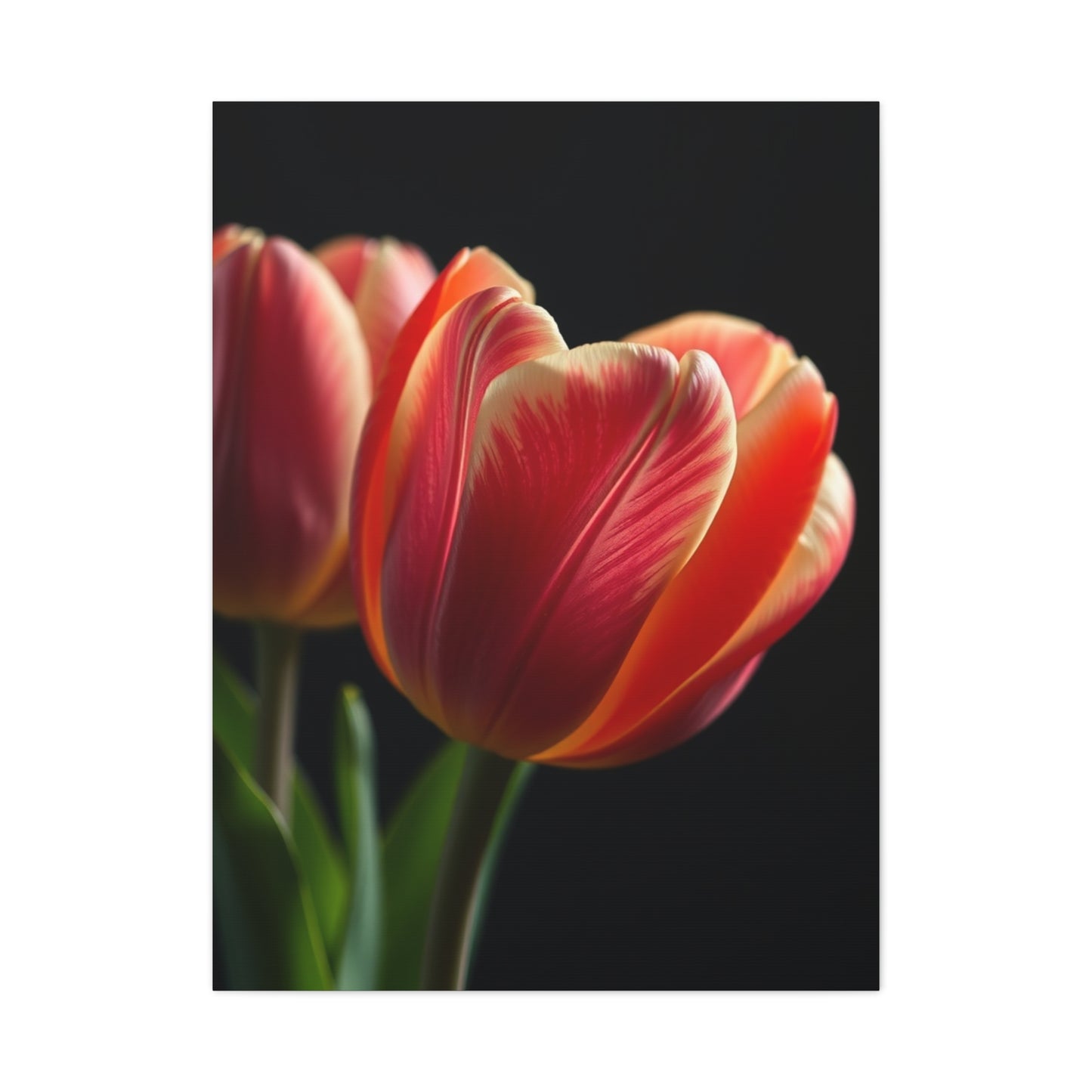 Tulip Flower Art Supreme Canvas Wall Art & Canvas Print