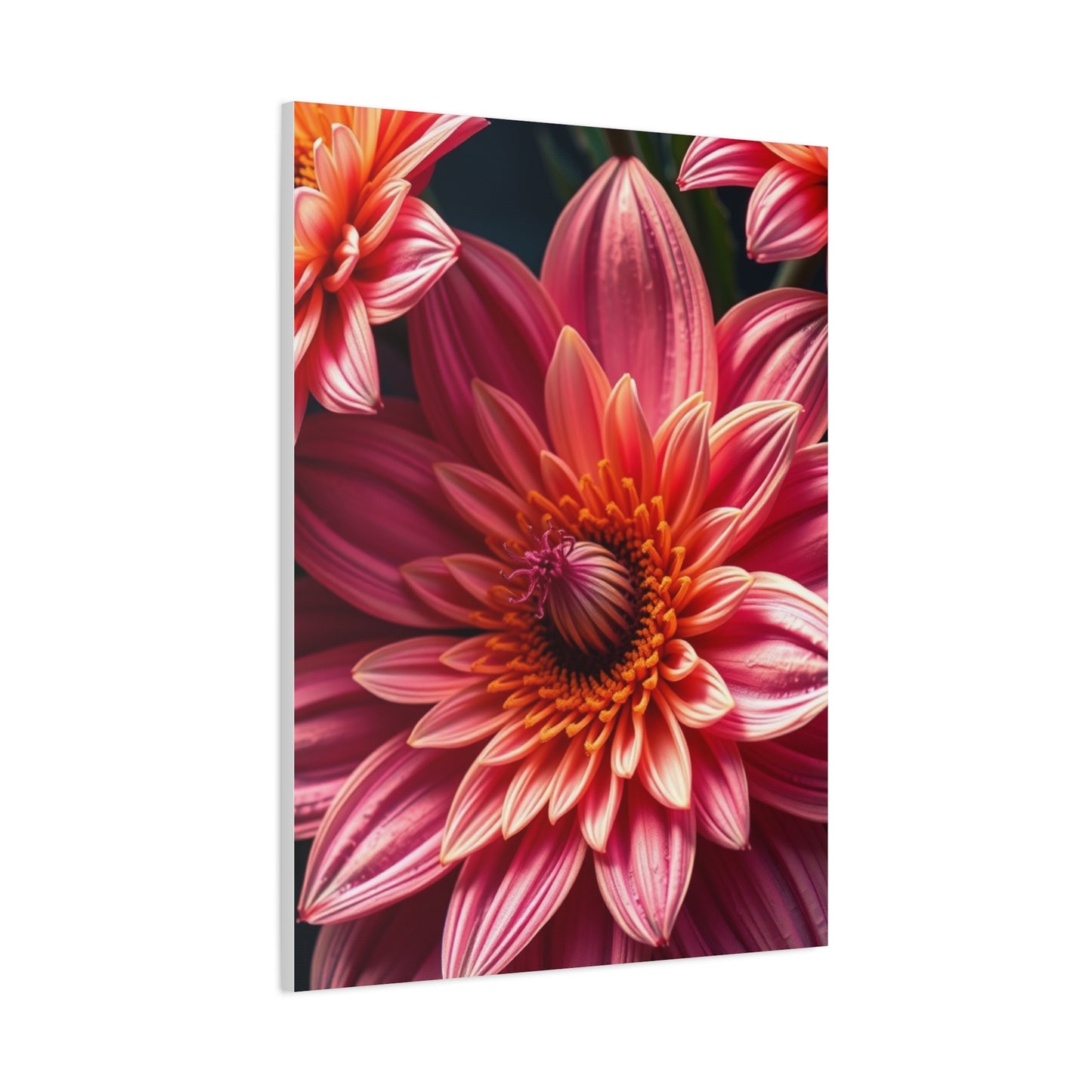 Floral Reverie Collection