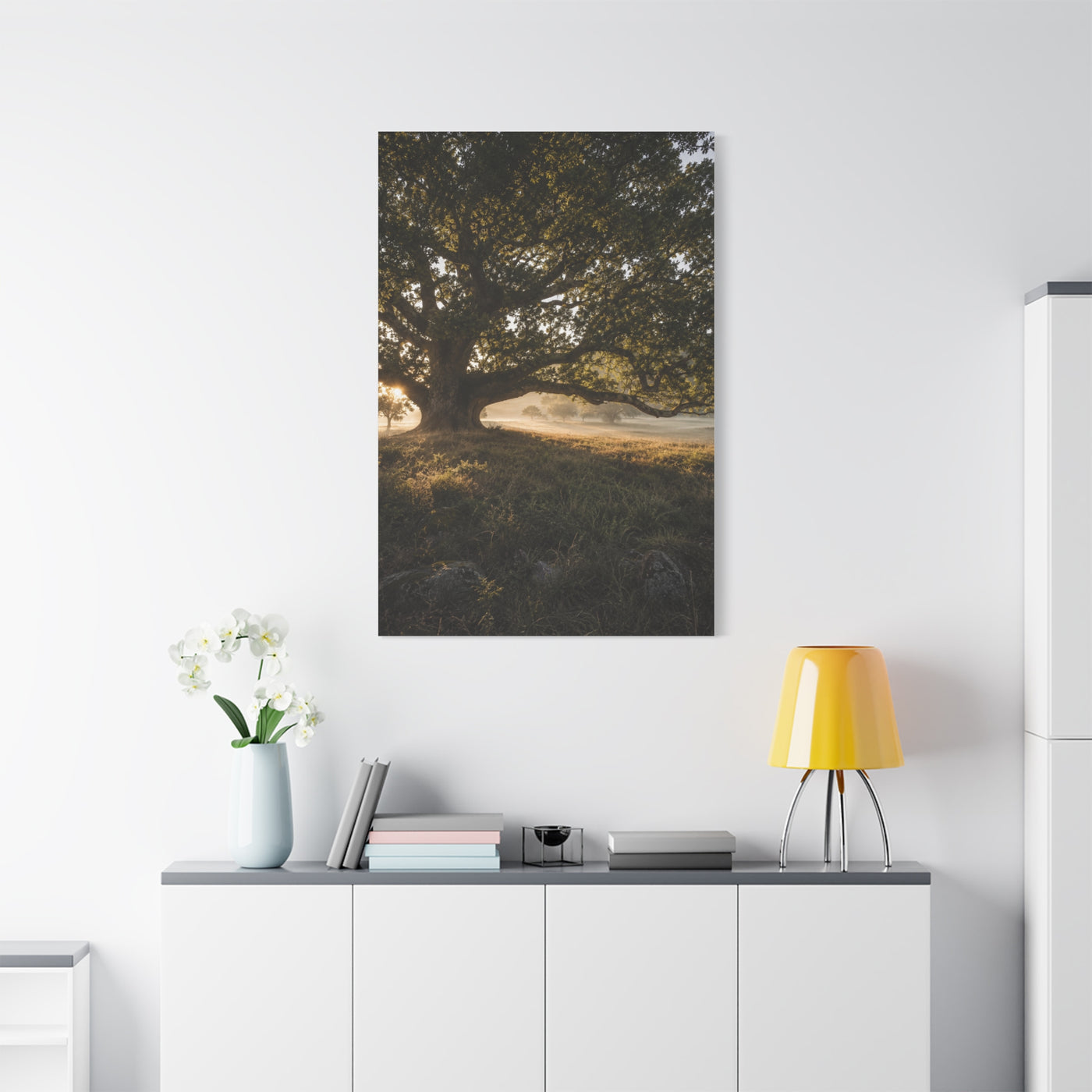 Ancient Oak Golden Dawn Landscape Trees Wall Art & Canvas Print