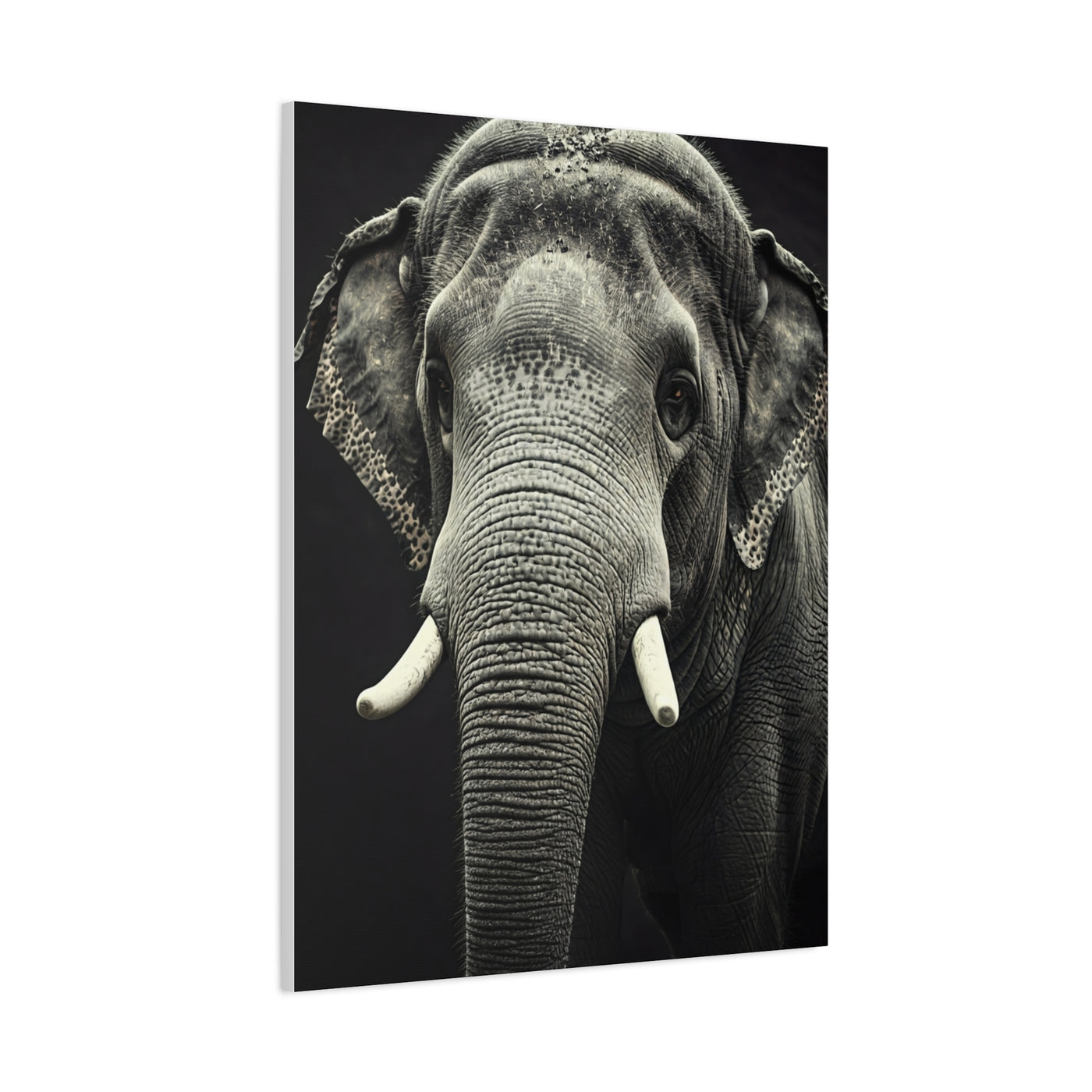 Regal Elephant Close-Up Wall Art & Canvas Prints