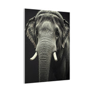 Regal Elephant Close-Up Wall Art & Canvas Prints