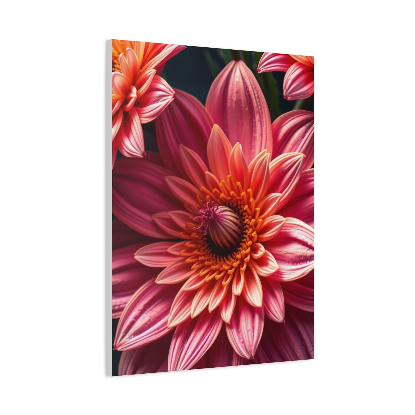 Floral Reverie Collection