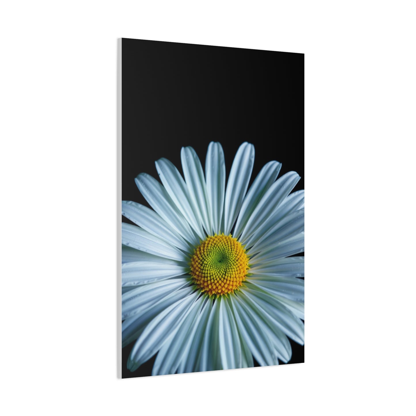 Majestic Meadow Elegance