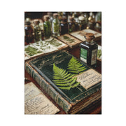 Green Antique Fern Herbarium Study Wall Art & Canvas Print