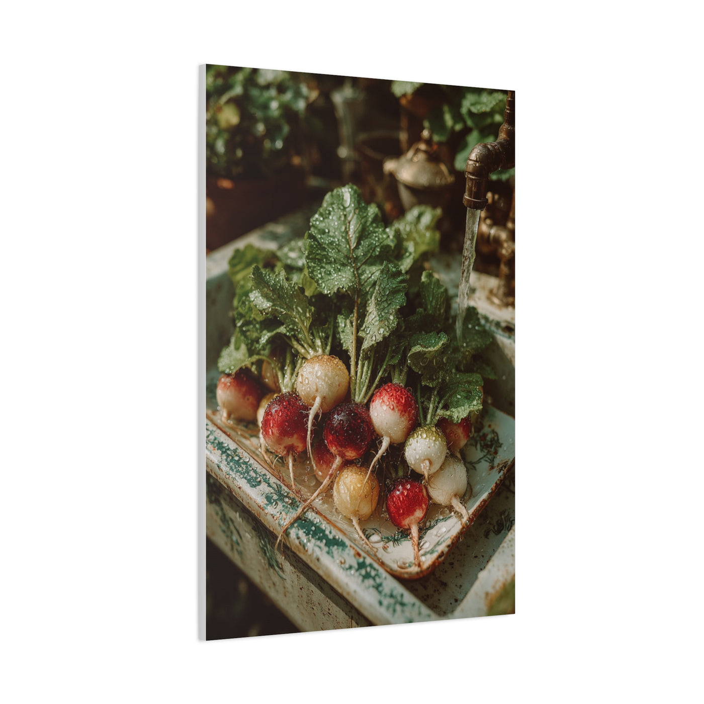Fresh Garden Radishes Farm Sink Wall Art & Canvas Print